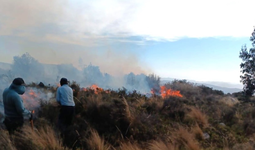 Alerta por incendios forestales y COER  pide apoyo del Ejército para sofocarlos