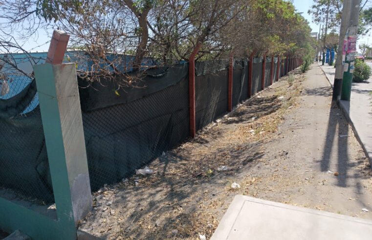 FOTO DE HOY MARTES 04 DE NOVIEMBRE