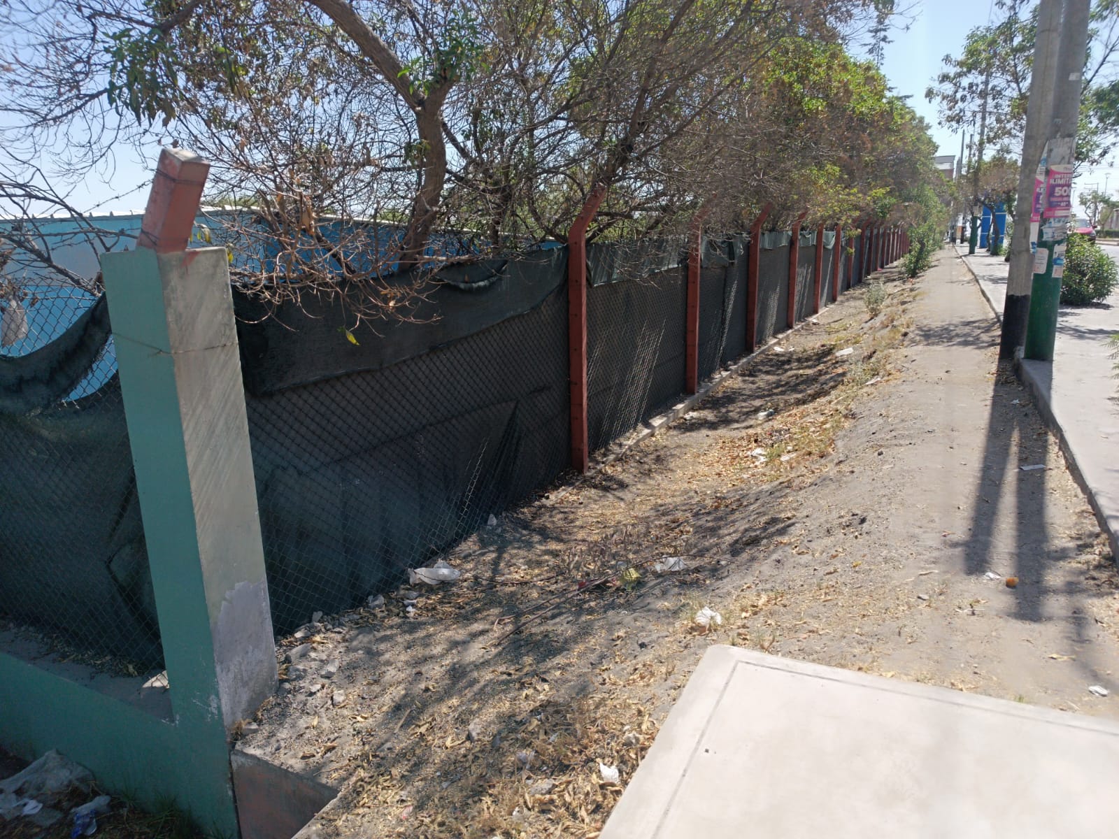 FOTO DE HOY MARTES 04 DE NOVIEMBRE