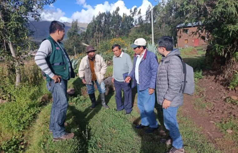 Gobierno mantiene activo el Seguro Agrícola por S/ 1.2 millones