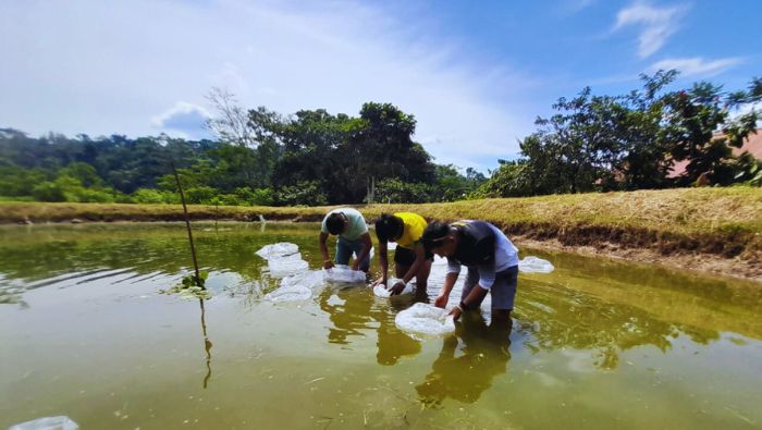 Impulsan acuicultura en zonas rurales de la provincia Condorcanqui