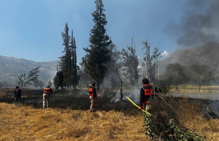 Incendios forestales aumentan, hay varias víctimas y daños ambientales