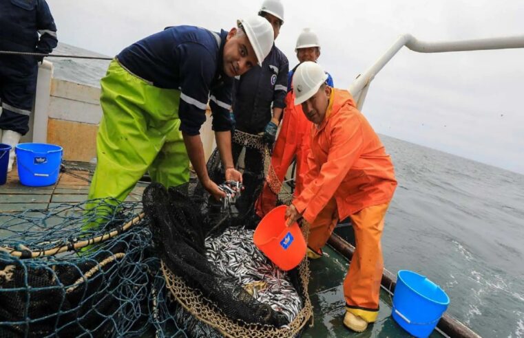 Produce autorizó de temporada de pesca de anchoveta en el sur