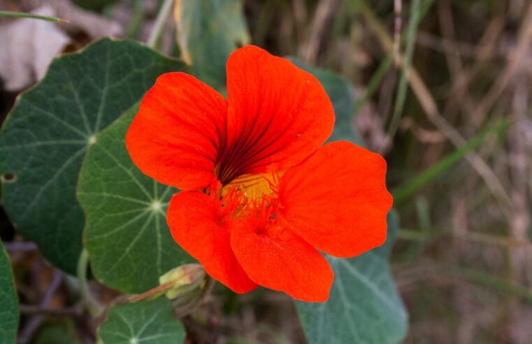 LAS NOTICIAS QUE ENCENDIERON LAS REDES EN EL 2025