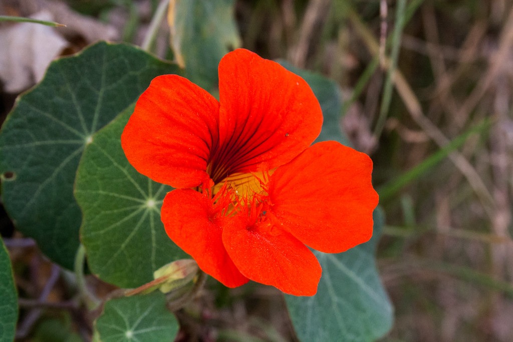 LAS NOTICIAS QUE ENCENDIERON LAS REDES EN EL 2025