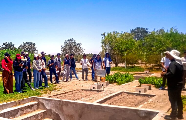 Detectan fallas de control en dos centros productivos de Autodema