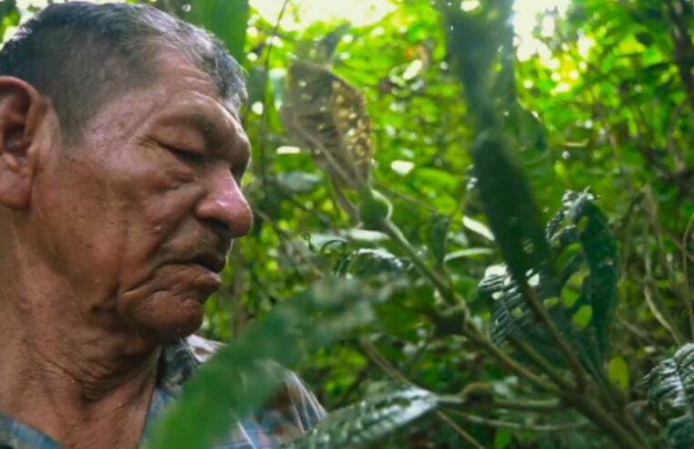 Los caminos de la ayahuasca en Ruta Madre