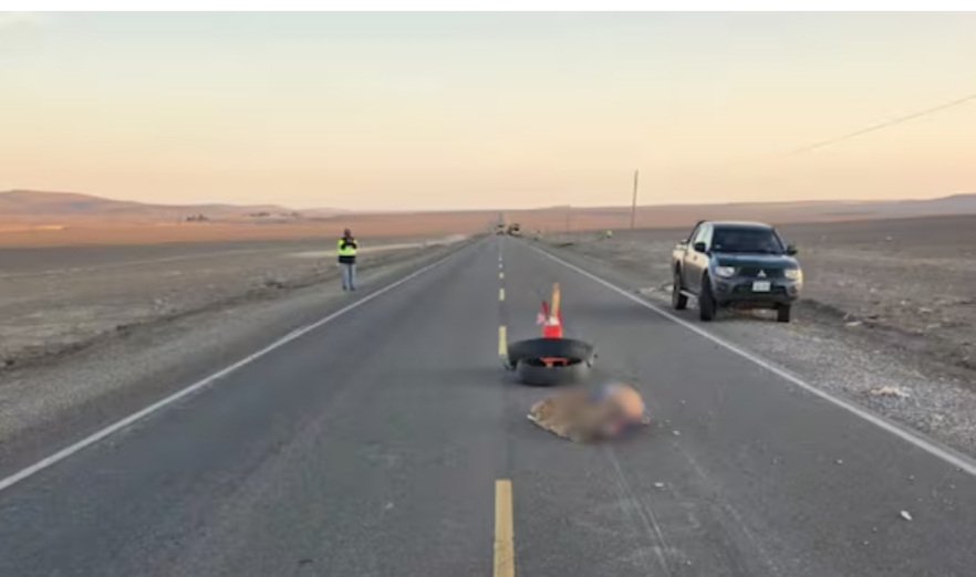 Accidente en la Panamericana Sur deja un fallecido en el distrito de Lomas