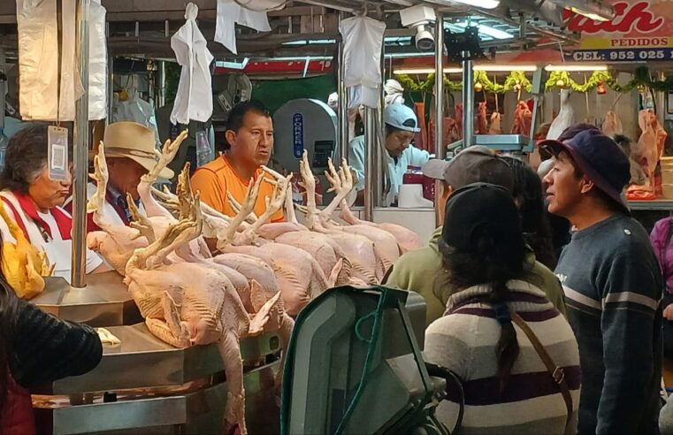 Tradicional pavo con precio accesible en los mercados