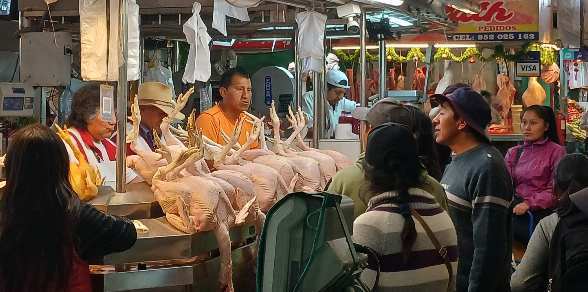 Tradicional pavo con precio accesible en los mercados