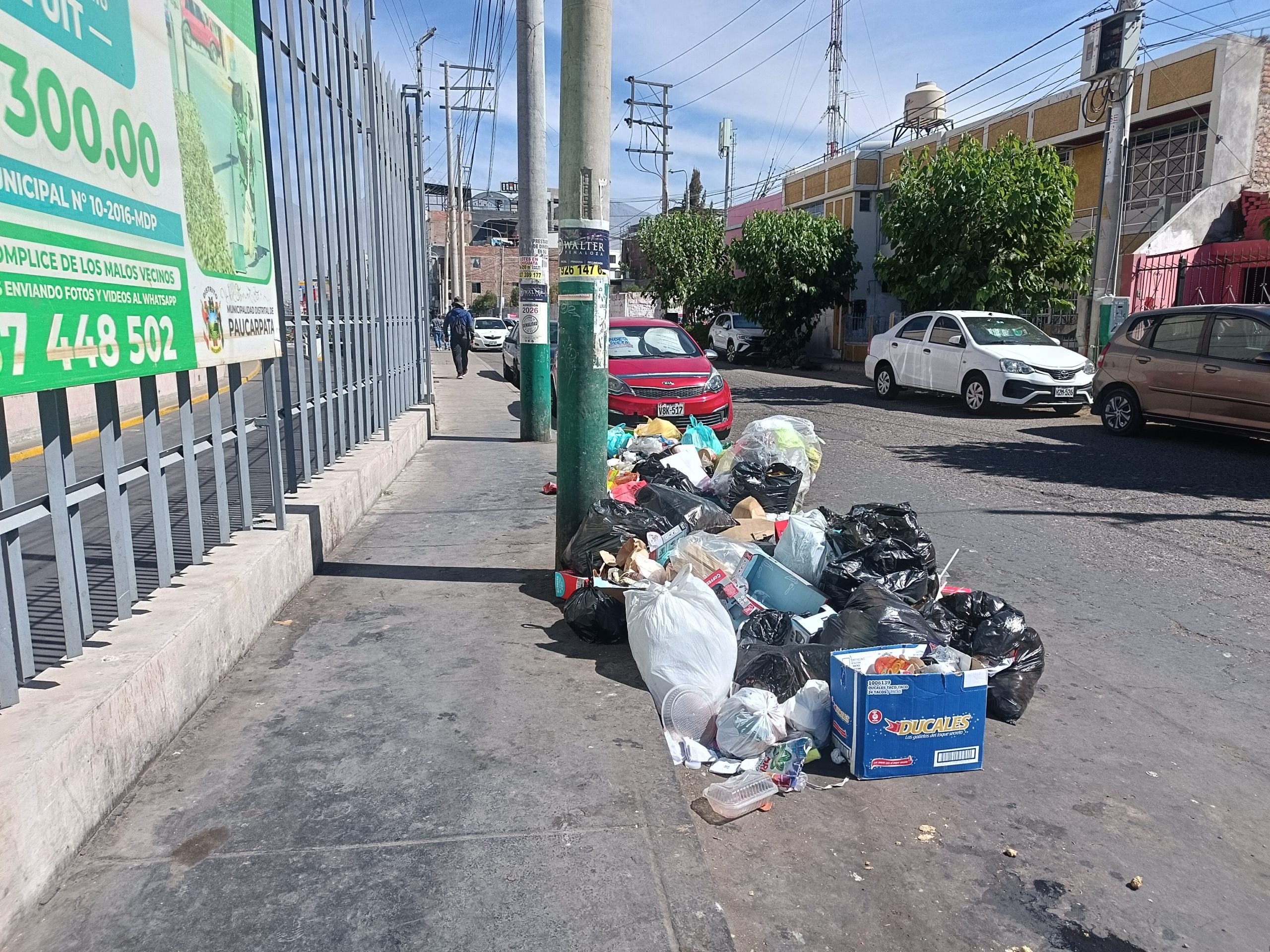 FOTO DE HOY MIERCOLES 31 DE DICIEMBRE