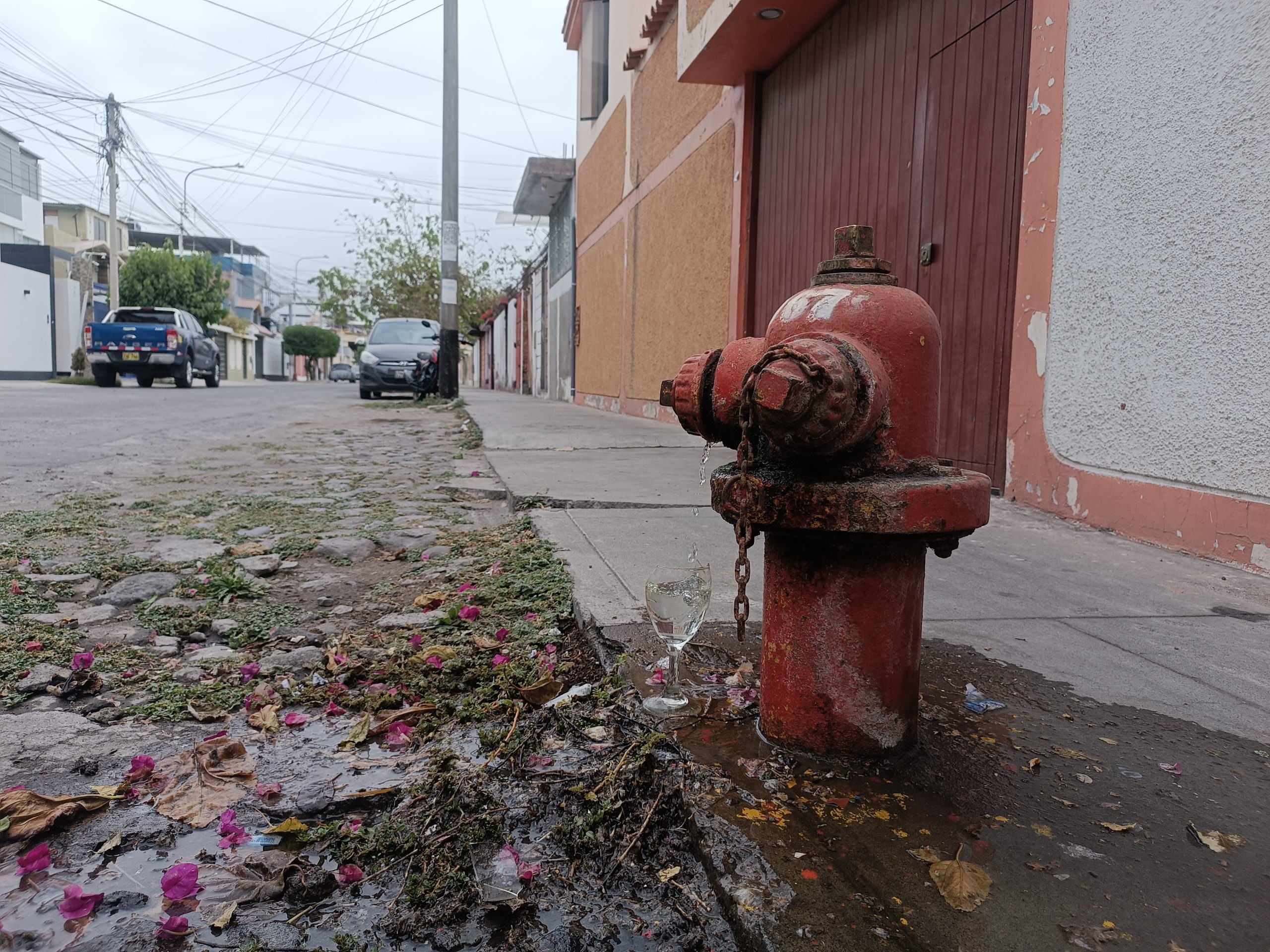 FOTO DE HOY SABADO 27 DE DICIEMBRE