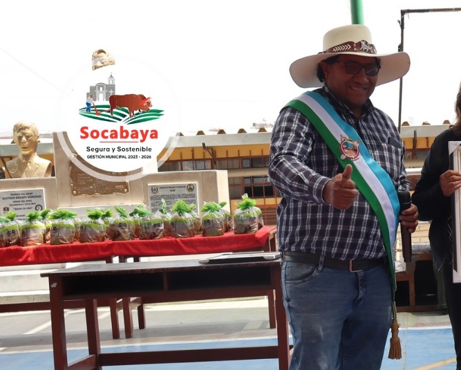 Reparto de panetones con siglas del alcalde reaviva debate sobre promoción política