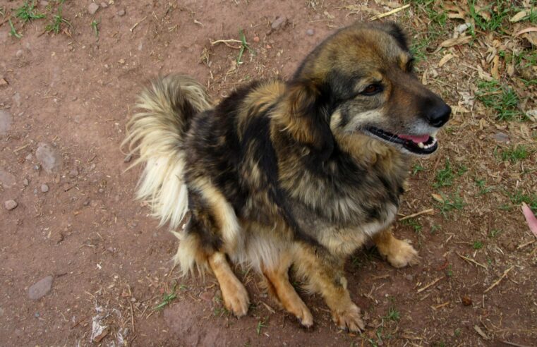 Cuento: “OCTAVIO, LA NOCHE”