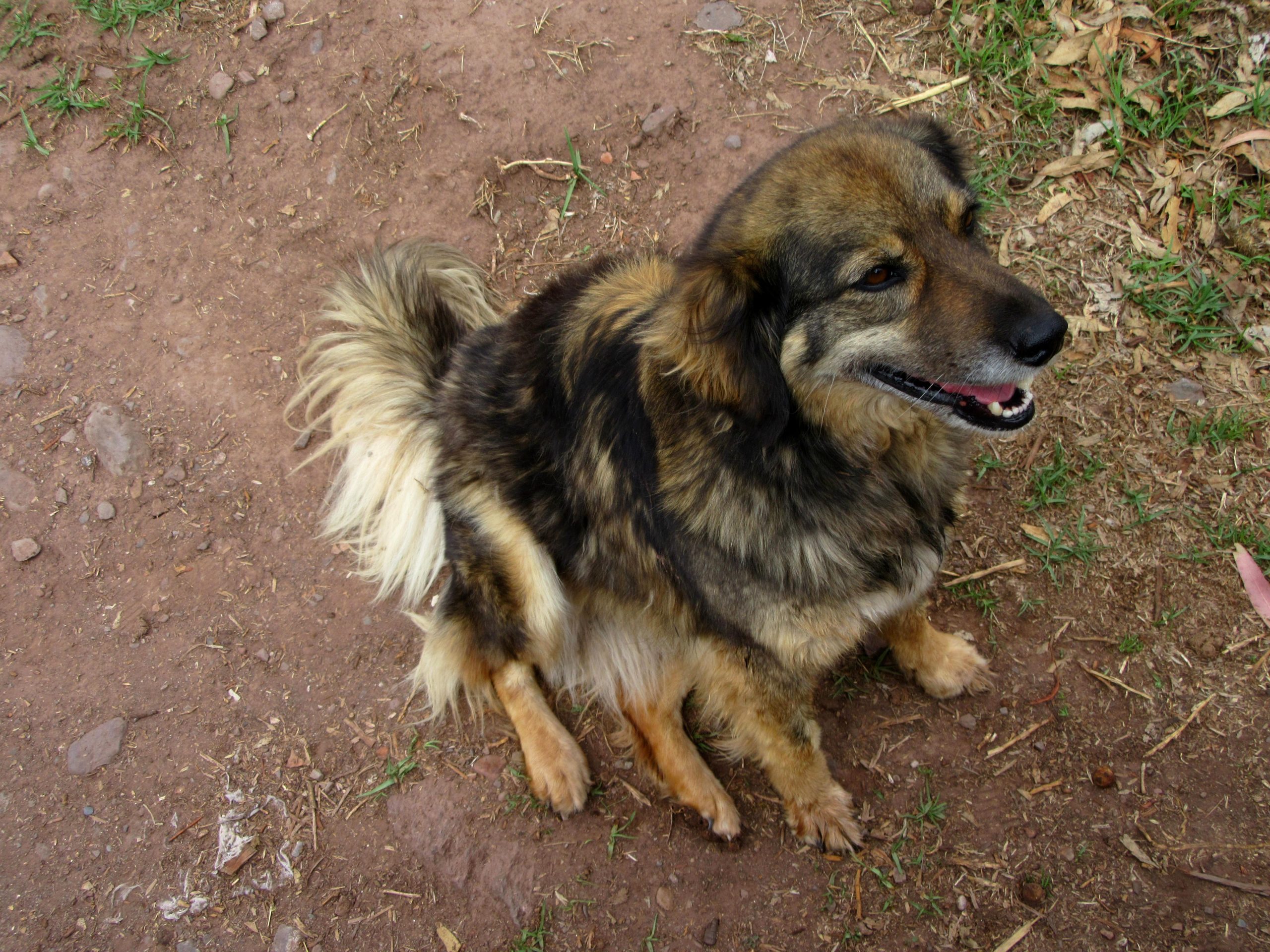 Cuento: “OCTAVIO, LA NOCHE”