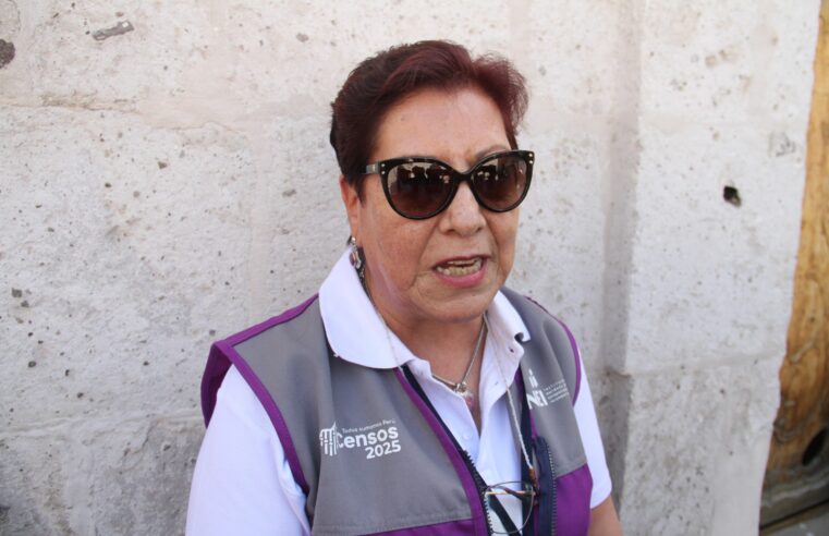 Censo 2025 en Acarí alcanza 85% de avance tras reinicio especial