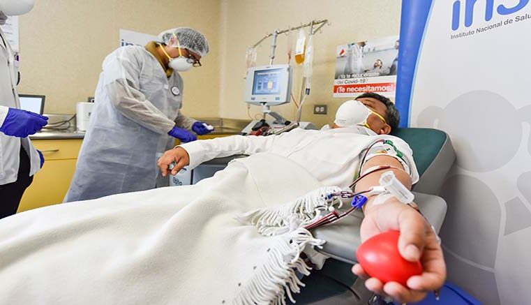 Lineamientos de gestión de salud