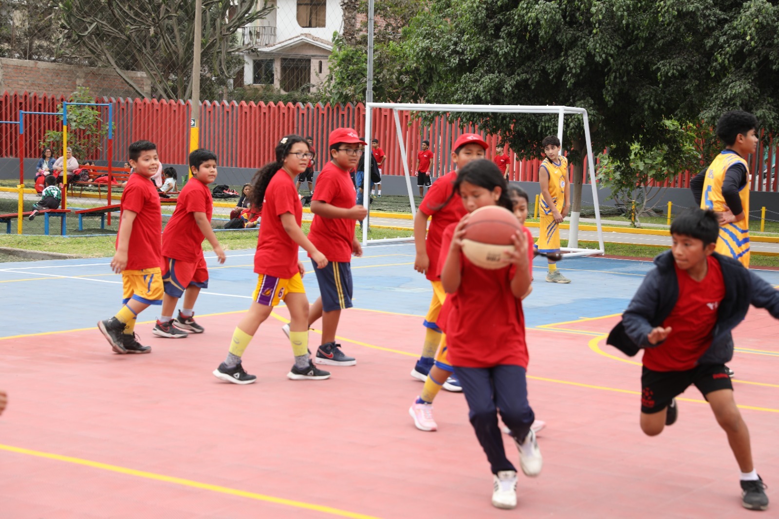 IPD dará clases gratuitas de deporte a nivel nacional