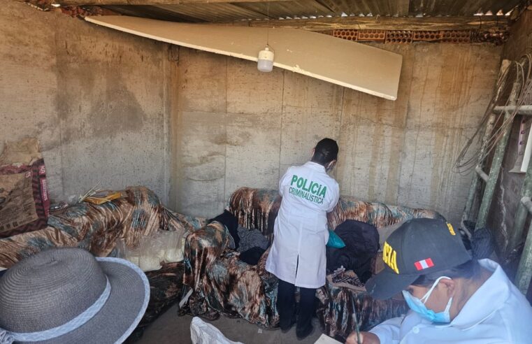 Desarticulan a “Los Capos del Mantaro” con más de 12 kilos de PBC