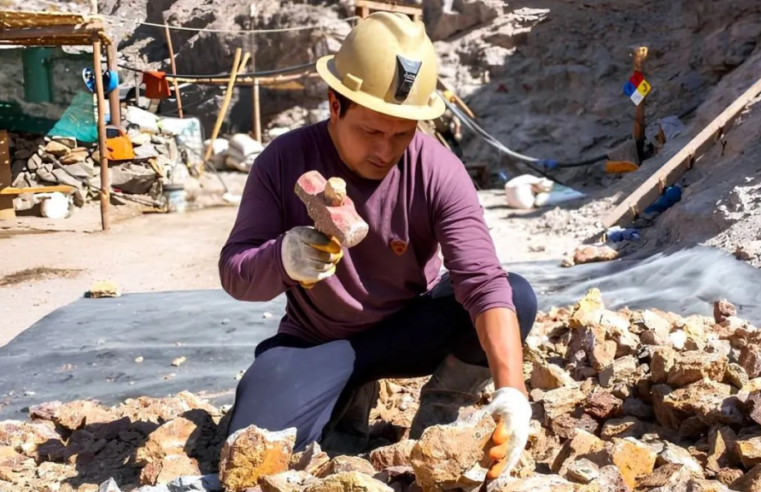 IIMP pide objetividad y advierte riesgo de favorecer minería ilegal con Reinfo