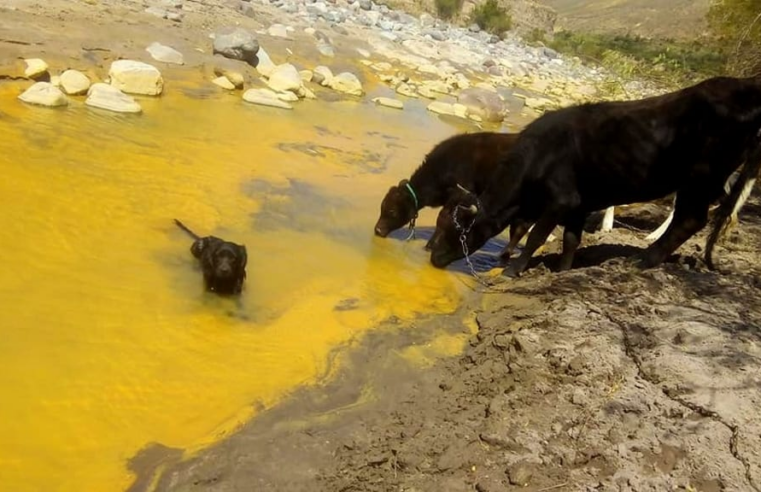 Mancomunidad del Sur pide a Fiscalía intervenir por contaminación de ríos Coralaque y Tambo