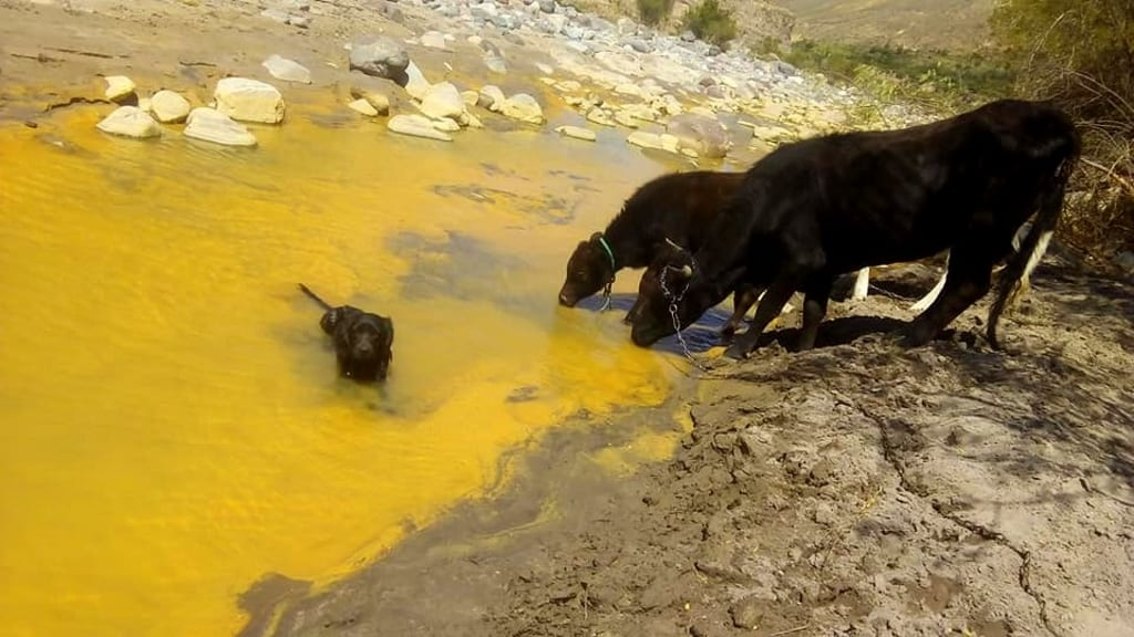 Mancomunidad del Sur pide a Fiscalía intervenir por contaminación de ríos Coralaque y Tambo