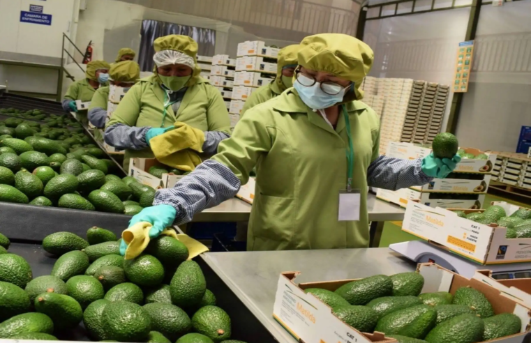 Empleos directos asociados a las exportaciones crecieron 1.8%