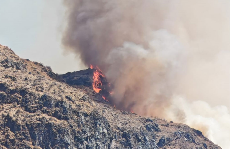 Incendio forestal se extiende por más de 24 horas en Machaguay