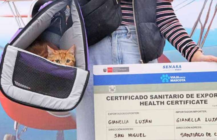 MIDAGRI: Más de 8 mil mascotas viajaron al exterior en 2025