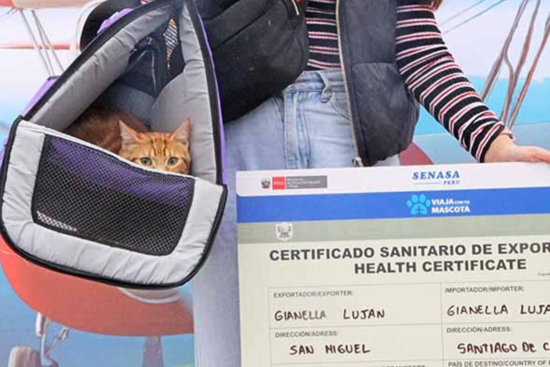 MIDAGRI: Más de 8 mil mascotas viajaron al exterior en 2025
