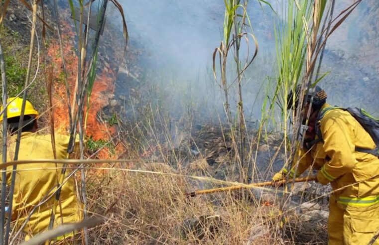 Municipios y pobladores trabajan para extinguir incendios forestales