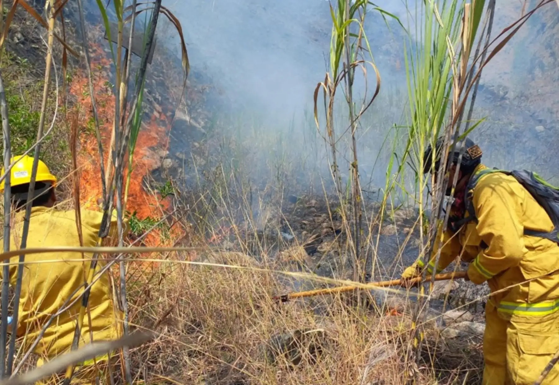 Municipios y pobladores trabajan para extinguir incendios forestales