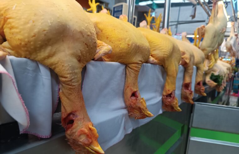 Precio del pollo sigue en alza por la proximidad de la Navidad