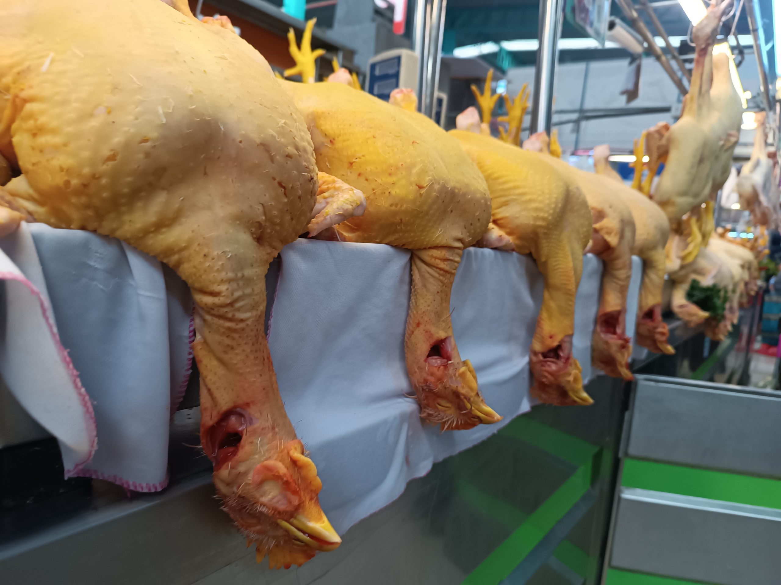 Precio del pollo sigue en alza por la proximidad de la Navidad