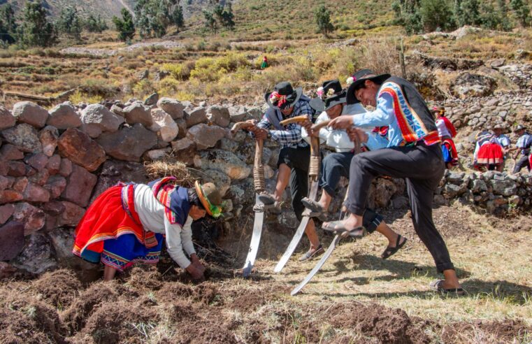 Midagri impulsa rehabilitación de andenes como eje del desarrollo rural
