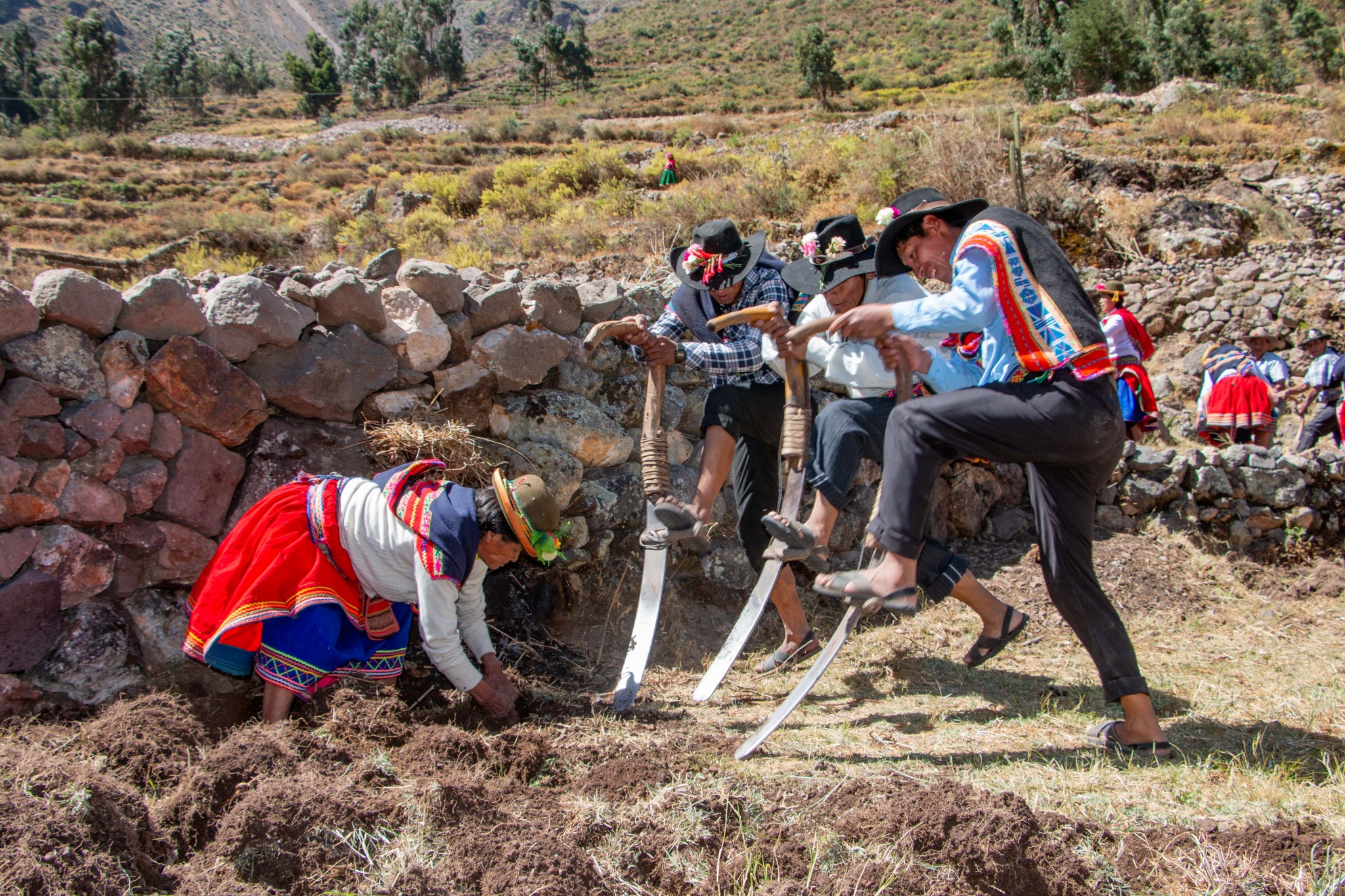 Midagri impulsa rehabilitación de andenes como eje del desarrollo rural