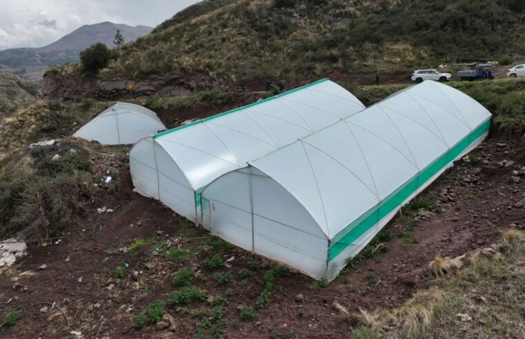 Ejecutan acciones para proteger la producción agropecuaria