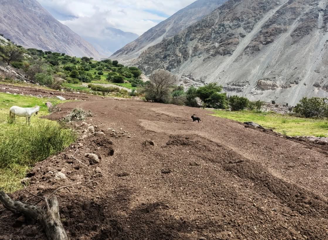 Lluvias activan huaicos  y dejan daños en vías, riego y cultivos en Arequipa