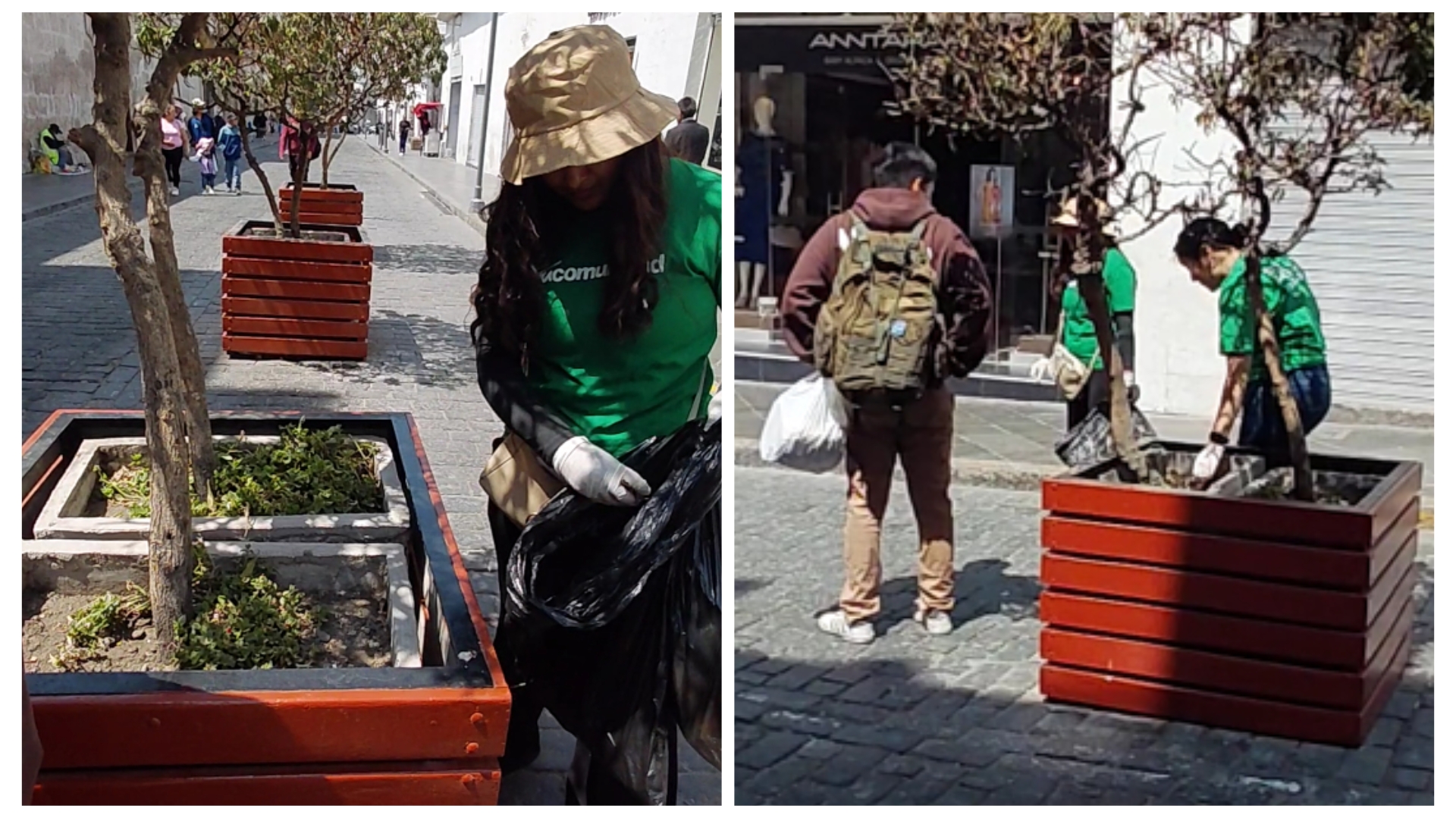 Jóvenes recogen residuos de maceteros en el Centro Histórico de Arequipa