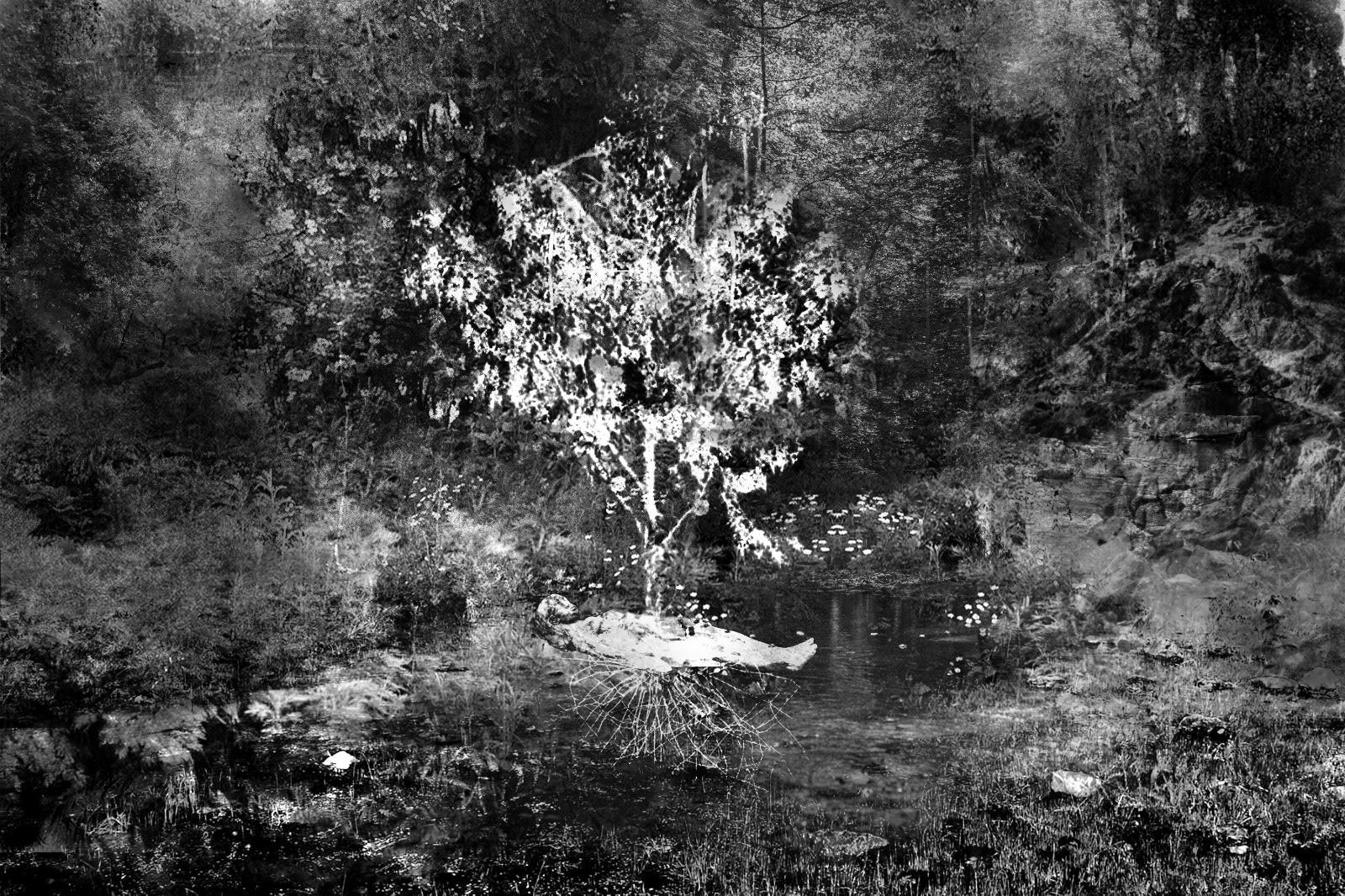 «La Tierra Florece» : Arte, rito y comunidad en la nueva edición de Proyecto Aquelarre