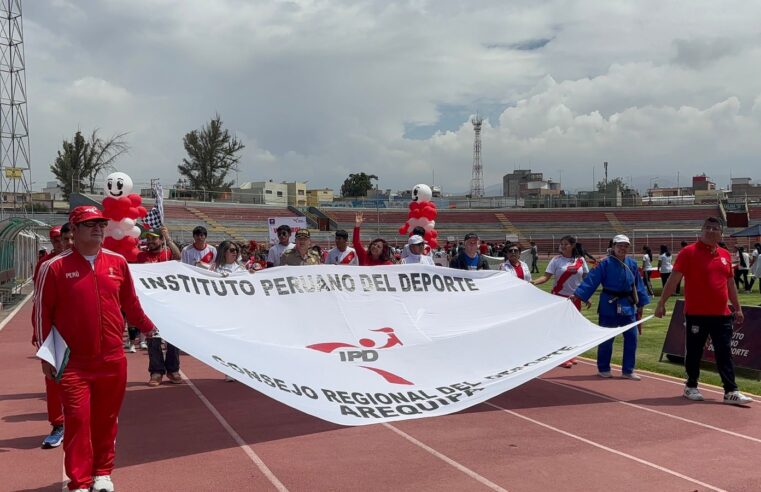 Cerca de 600 menores aprovechan academia gratuitas del IPD