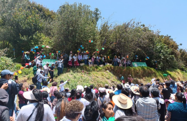 La sacudida y timpusca de peras cuenta la historia de Tiabaya