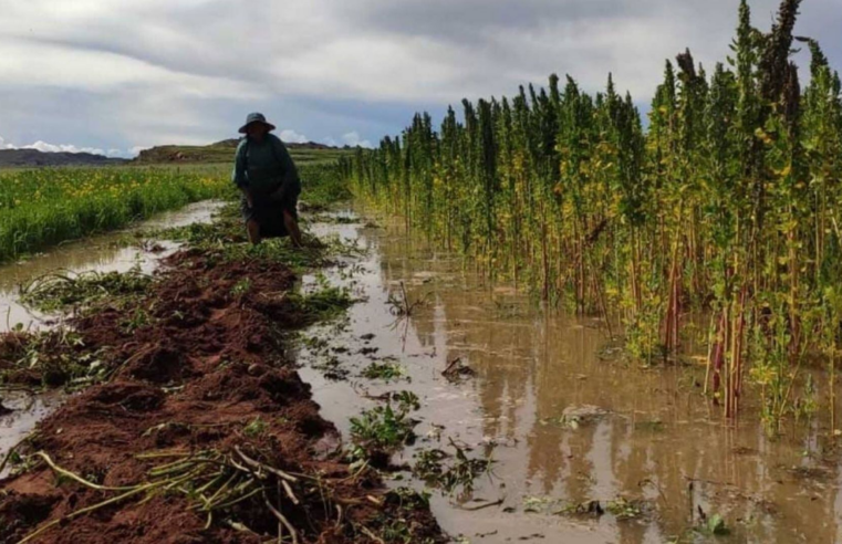 Declaratoria de emergencia no garantiza atención integral de puntos críticos ante lluvias