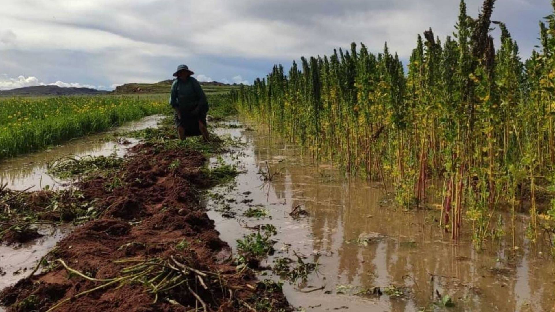 Declaratoria de emergencia no garantiza atención integral de puntos críticos ante lluvias