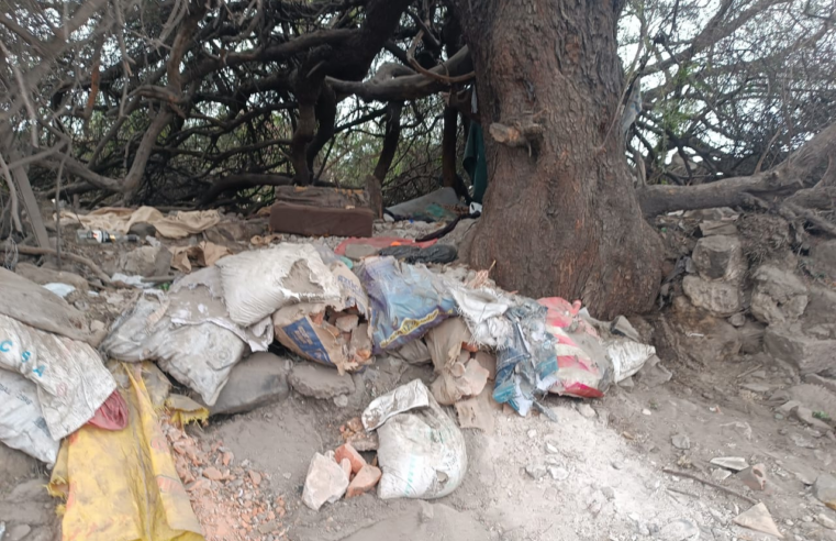 FOTO DE HOY MIERCOLES 14 DE ENERO