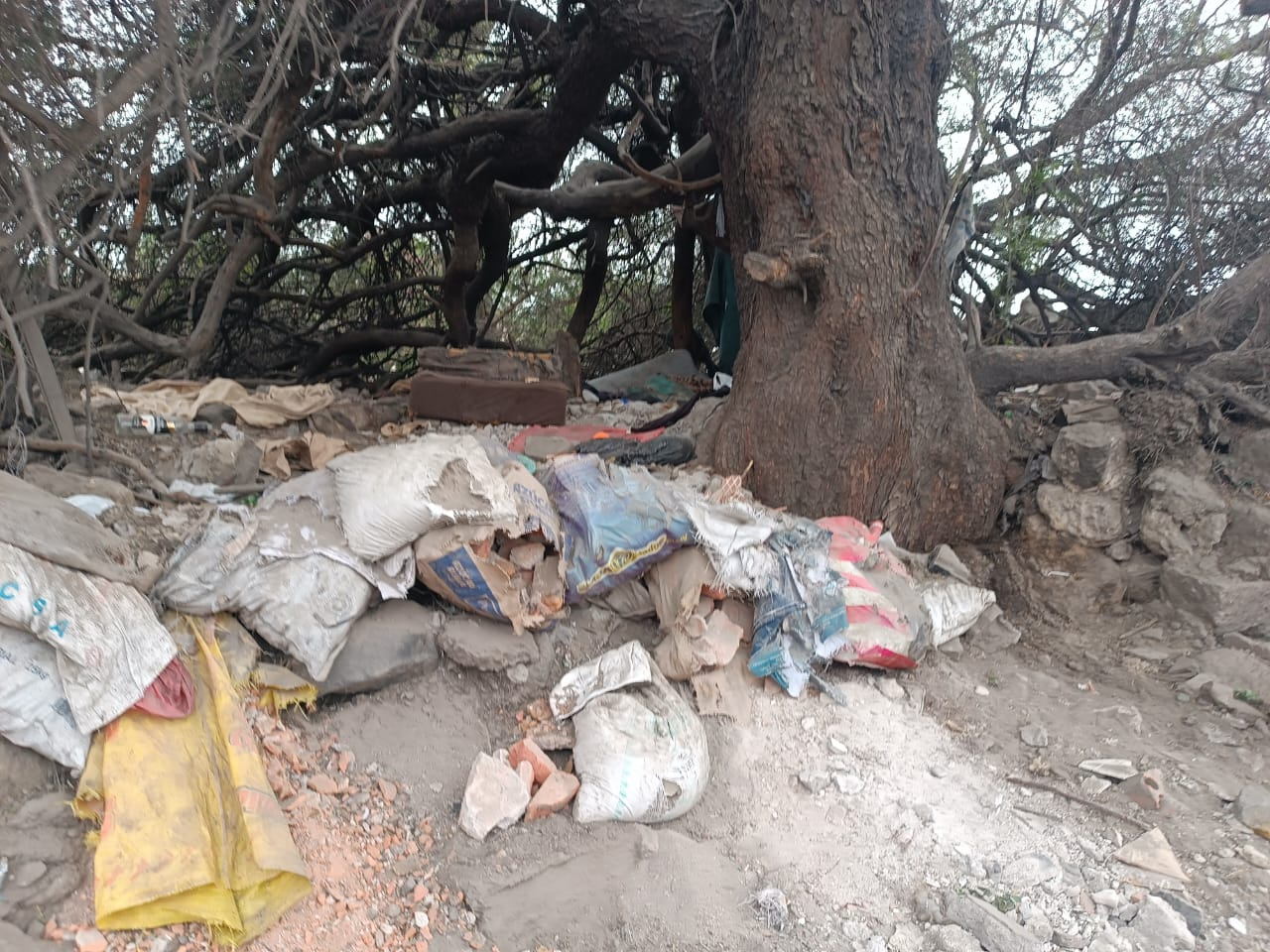 FOTO DE HOY MIERCOLES 14 DE ENERO