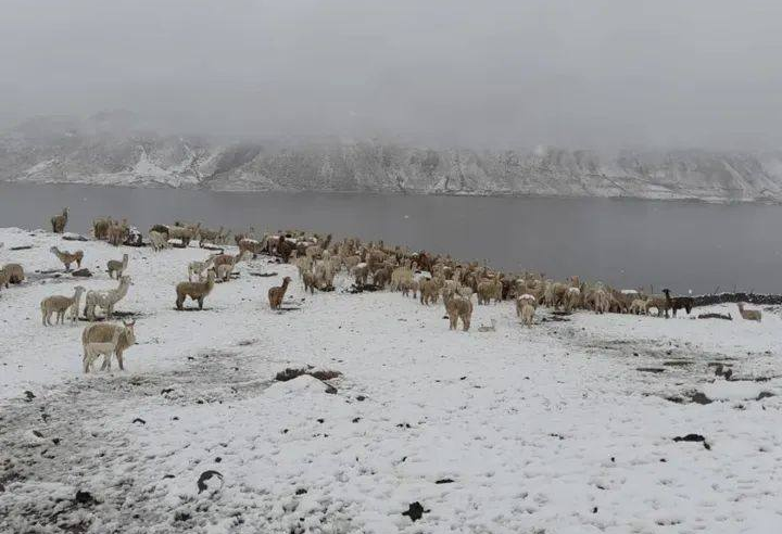 Hoy se prevé lluvias con nieve y granizo en zonas altas de Arequipa