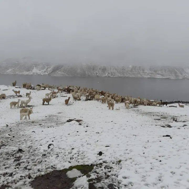 Hoy se prevé lluvias con nieve y granizo en zonas altas de Arequipa