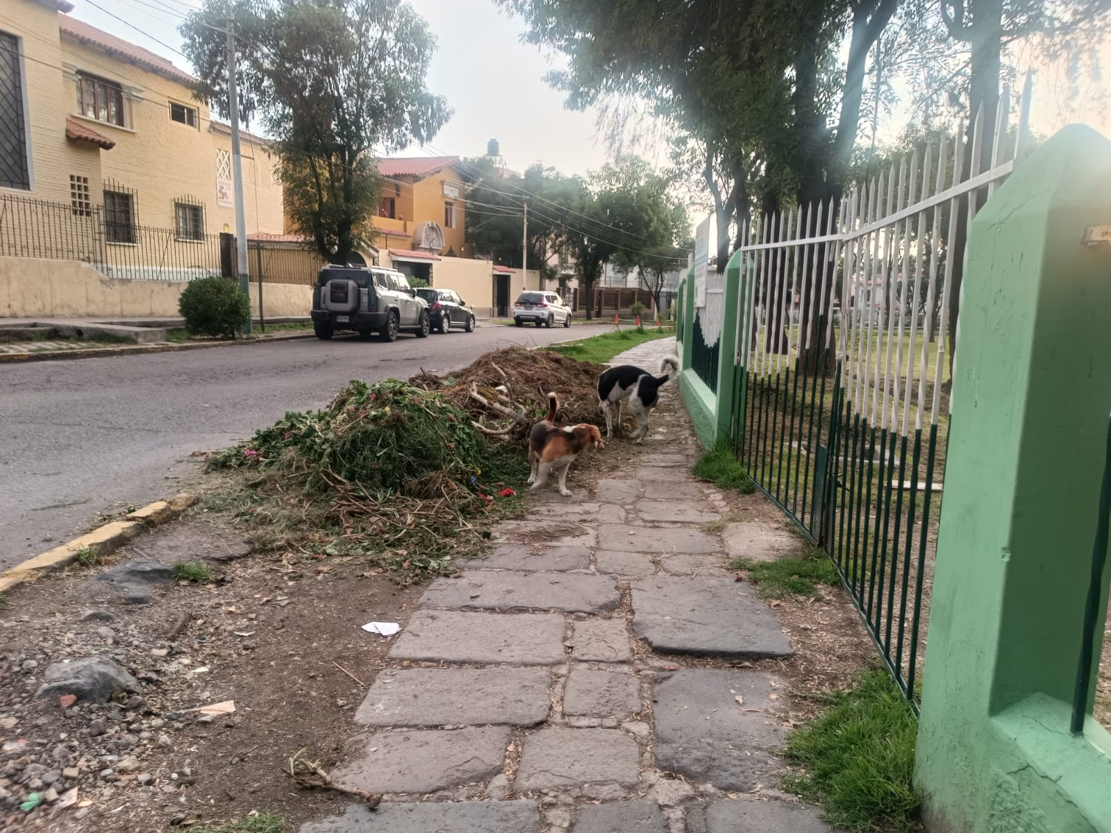 FOTO DE HOY MARTES 27 DE ENERO