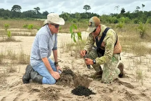 Reforestan 20 hectáreas dañadas por la minería ilegal